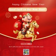 Back to Work with Passion Luview 2026 A Prosperous New Start for the Year of the Horse缩略图