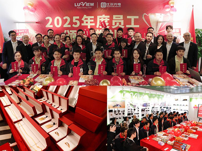 Luview 2025 Year-End Awards Ceremony: Honoring Years of Loyalty & Dedication缩略图