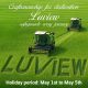 With a Vision of Safety, Luview Honors All Workers缩略图